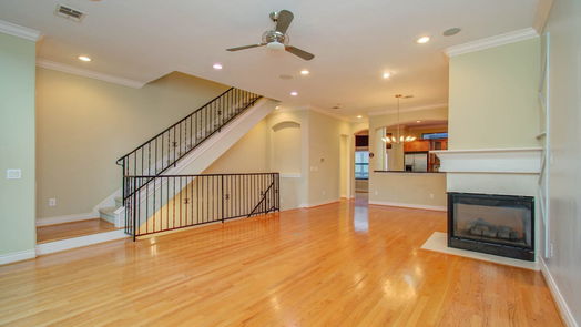 Houston 3-story, 3-bed 1808 Rosalie Street-idx