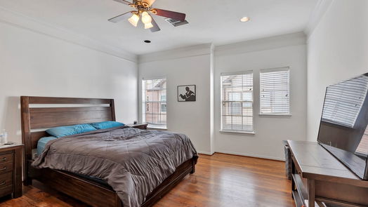 Houston 3-story, 3-bed 1323 McIlhenny Street-idx