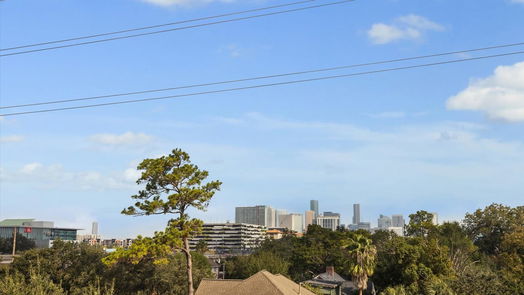 Houston 3-story, 3-bed 1306 Blodgett Street-idx