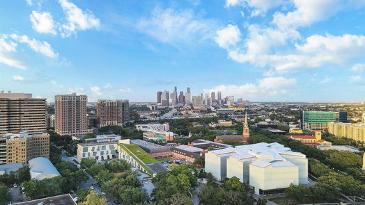 Houston 3-story, 3-bed 1306 Blodgett Street-idx