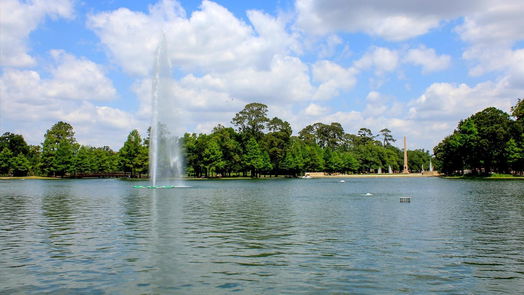 Houston 3-story, 3-bed 1306 Blodgett Street-idx