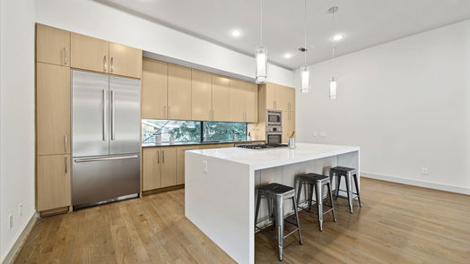 Houston 4-story, 3-bed 1509 Ruth Street-idx