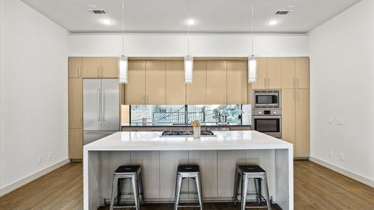 Houston 4-story, 3-bed 1509 Ruth Street-idx