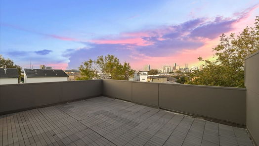 Houston 4-story, 3-bed 1509 Ruth Street-idx