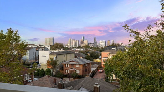 Houston 4-story, 3-bed 1509 Ruth Street-idx