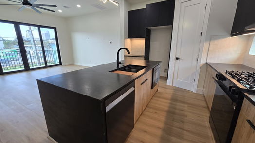 Houston 4-story, 3-bed 2423 Bastrop Street-idx