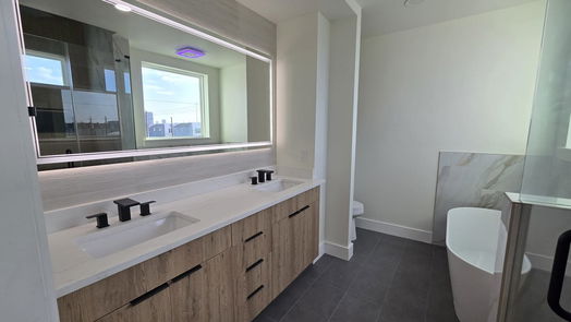 Houston 4-story, 3-bed 2423 Bastrop Street-idx