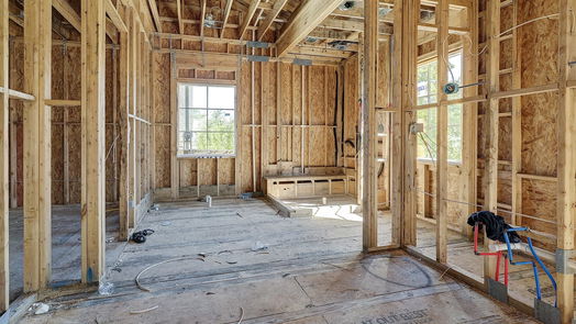 Houston 2-story, 4-bed 2317 Wroxton Road-idx