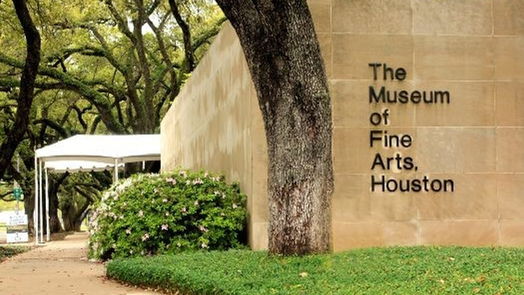 Houston 2-story, 4-bed 2317 Wroxton Road-idx