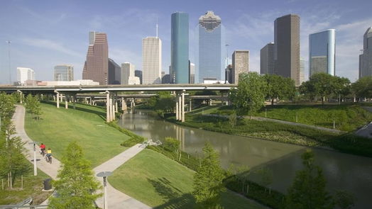 Houston 2-story, 4-bed 2317 Wroxton Road-idx