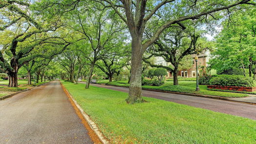 Houston 3-story, 4-bed 5309 Cherokee Street-idx