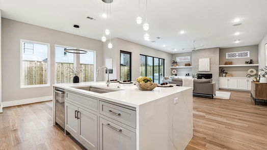 West University Place 2-story, 4-bed 4029 Oberlin Street-idx