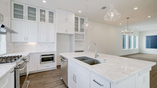 Houston 3-story, 4-bed 1253 Peden Street A-idx