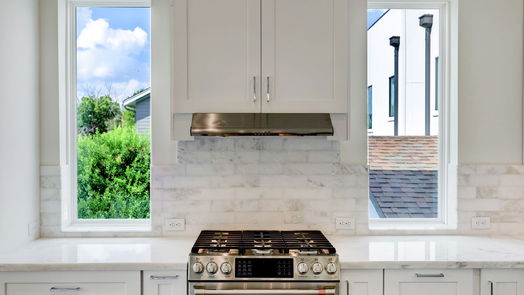 Houston 3-story, 4-bed 1253 Peden Street A-idx