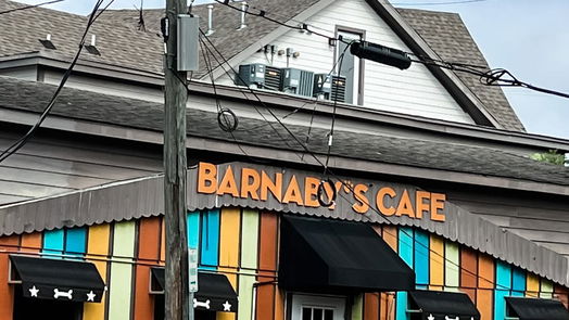 Houston 2-story, 3-bed 815 Fairview Avenue-idx