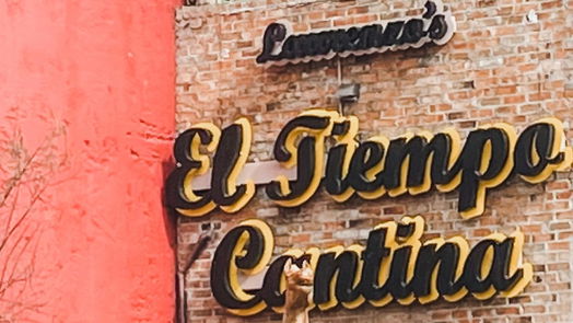 Houston 2-story, 3-bed 815 Fairview Avenue-idx