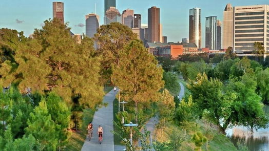 Houston 2-story, 3-bed 1208 Willard Street-idx