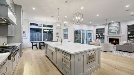 Houston 2-story, 3-bed 1208 Willard Street-idx