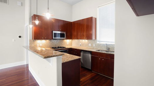 Houston 4-story, 3-bed 1704 Montrose Boulevard-idx