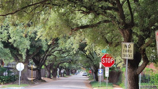 Houston 1-story, 2-bed 1621 California Street-idx