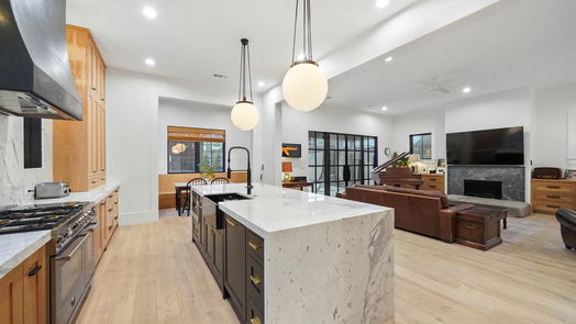 Houston 2-story, 6-bed 1320 Vassar Street-idx