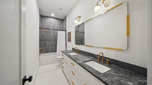 Houston 2-story, 6-bed 1320 Vassar Street-idx