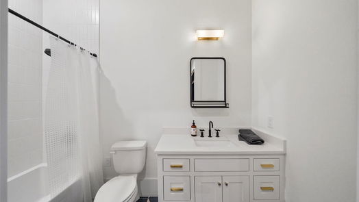 Houston 2-story, 6-bed 1320 Vassar Street-idx