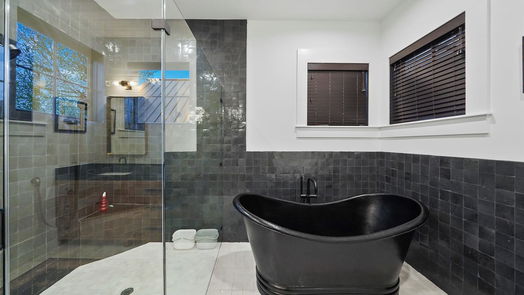 Houston 2-story, 6-bed 1320 Vassar Street-idx