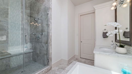 Houston 4-story, 3-bed 1908 Morgan Street-idx