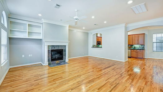 Houston 3-story, 3-bed 103 Tuam Street-idx