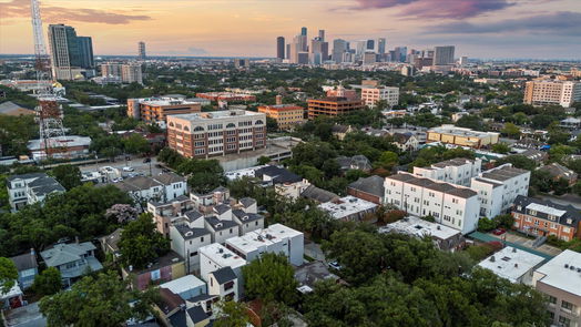 Houston 3-story, 3-bed 4412 Mount Vernon Street-idx