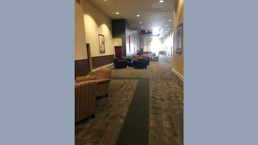 Houston null-story, 2-bed 3311 Yupon Street 306-idx