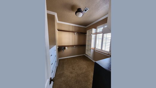 Houston 3-story, 5-bed 611 Willard Street-idx