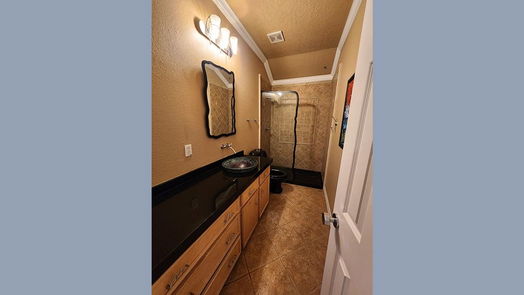 Houston 3-story, 5-bed 611 Willard Street-idx