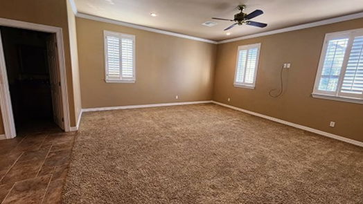 Houston 3-story, 5-bed 611 Willard Street-idx