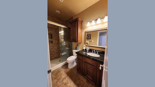 Houston 3-story, 5-bed 611 Willard Street-idx