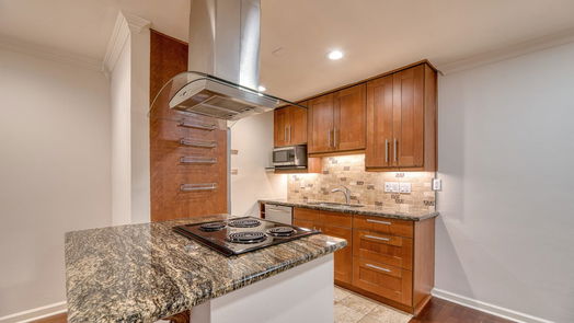 Houston null-story, 1-bed 606 Marshall Street B14-idx