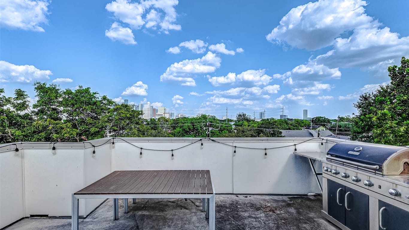 Houston 4-story, 3-bed 1205 Jackson Boulevard D-idx