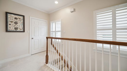 Houston 3-story, 3-bed 194 Oak Place Drive-idx