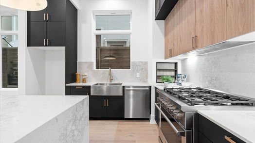 Houston 3-story, 4-bed 1706 Ridgewood Street-idx