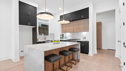 Houston 3-story, 4-bed 1708 Ridgewood Street-idx