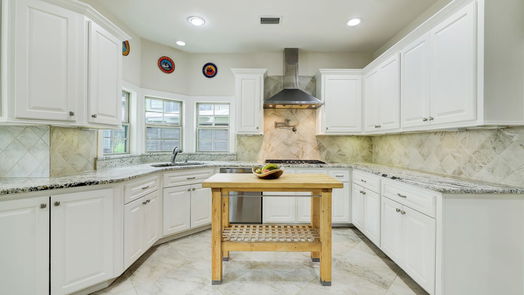 Houston 2-story, 4-bed 515 Terrace Drive-idx