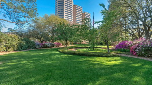 Houston null-story, 3-bed 101 Westcott Street 802-idx