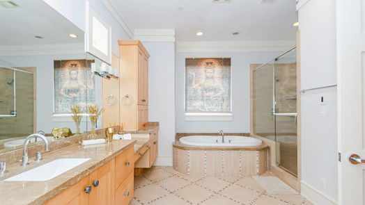 Houston 5-story, 3-bed 5206 Calle Montilla Place-idx