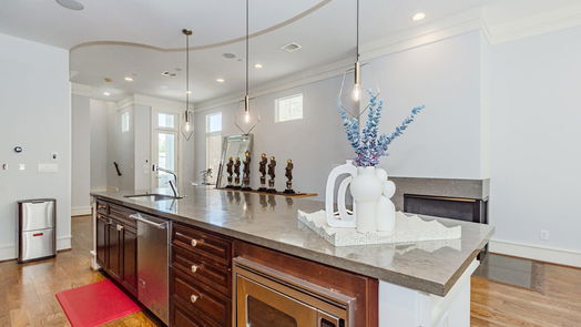 Houston 5-story, 3-bed 5206 Calle Montilla Place-idx