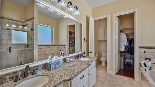 Houston 2-story, 5-bed 1317 Shearn Street-idx