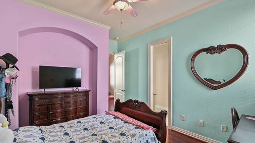 Houston 2-story, 5-bed 1317 Shearn Street-idx