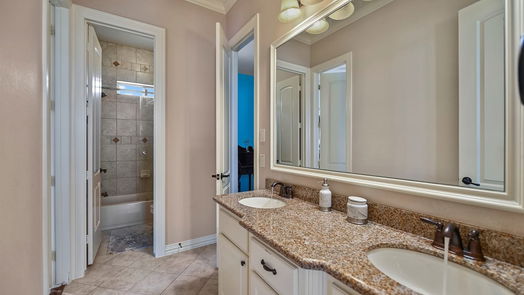 Houston 2-story, 5-bed 1317 Shearn Street-idx