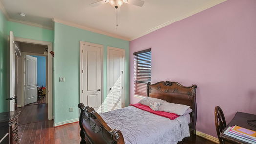 Houston 2-story, 5-bed 1317 Shearn Street-idx