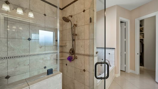 Houston 2-story, 5-bed 1317 Shearn Street-idx